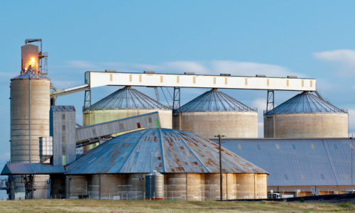 SMART Digital pest control for NZ agriculture