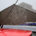 Avoid spiders in your car
