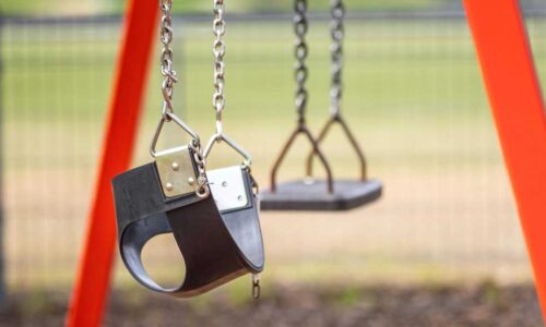 Cost Savings for New Zealand Schools Through Data-Driven Pest Management