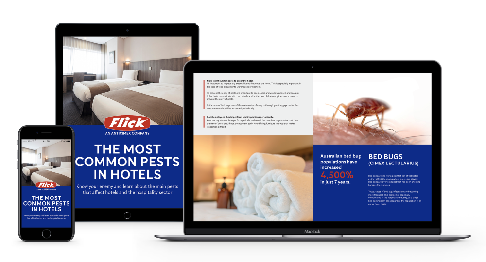 The Most Common Pests In Hotels Guide
