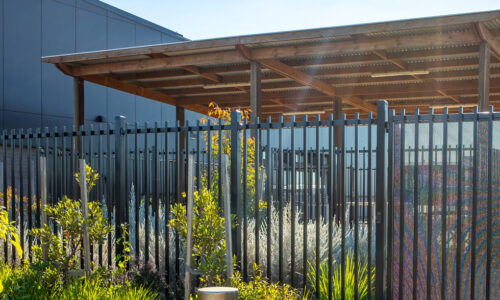 How New Zealand Schools Are Reducing Their Carbon Footprint with SMART Pest Control