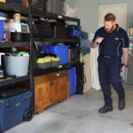 Most Common Pests Found in Storage Areas