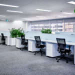 Importance of Office Pest Control