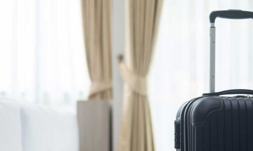 Ready to learn more and protect your hotel guests? Explore our brand new eBook detailing the most common pests in Australian hotels, and how to safeguard your business from an infestation! 17/09 NZ: How Proactive Pest Control Creates a Five-Star Guest Experience