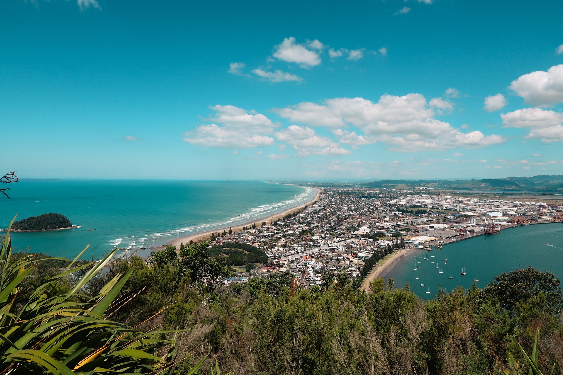 Flick Pest Control Tauranga