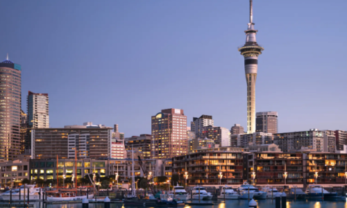 Auckland Pest Control