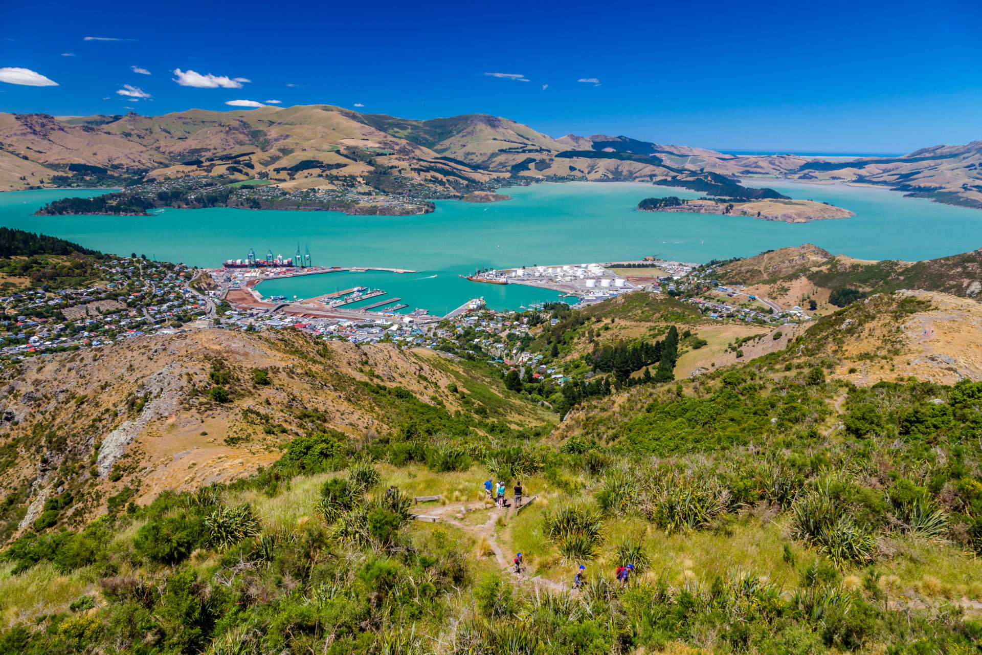 Christchurch Pest Control
