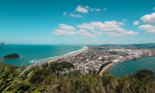 Tauranga, New Zealand Pest Control